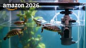 best filter for turtle tank