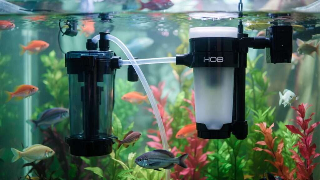 best fish tank filter