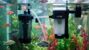 best fish tank filter